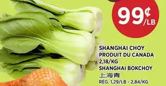 Kim Phat SHANGHAI BOKCHOY offer