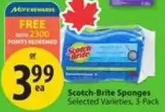 Save on Foods Scotch-Brite Sponges offer