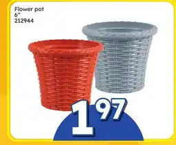 Rossy Flower pot offer