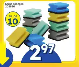Rossy Scrub sponges offer