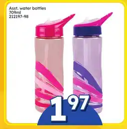 Rossy Asst. water bottles offer