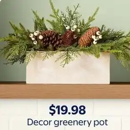 Walmart Decor greenery pot offer