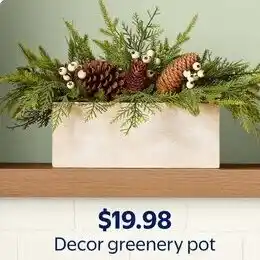 Walmart Decor greenery pot offer