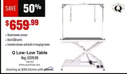 Ren’s Pets Depot Q Low-Low Table offer