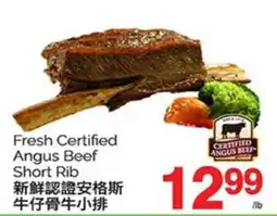 T&T Supermarket FRESH CERTIFIED ANGUS BEEF SHORT RIB offer
