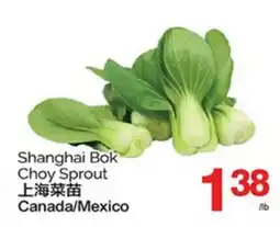 T&T Supermarket SHANGHAI BOK CHOY SPROUT offer