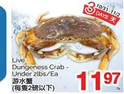 T&T Supermarket LIVE DUNGENESS CRAB - UNDER 2LBS/EA offer