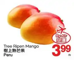 T&T Supermarket TREE RIPEN MANGO offer
