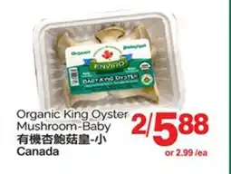 T&T Supermarket ORGANIC KING OYSTER MUSHROOM-BABY offer