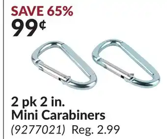 Princess Auto 2 2 in. Mini Carabiners offer