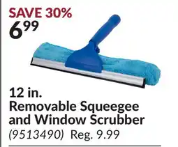 Princess Auto 12 in. Removable Squeegee and Window Scrubber offer