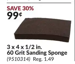 Princess Auto 3 x 4 x 1/2 in. 60 Grit Sanding Sponge offer