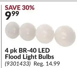 Princess Auto 4 pk BR-40 LED Flood Light Bulbs offer