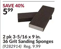 Princess Auto 2 pk 3-5/16 x 9 in. 36 Grit Sanding Sponges offer