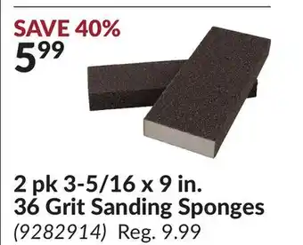 Princess Auto 2 pk 3-5/16 x 9 in. 36 Grit Sanding Sponges offer