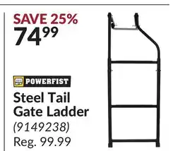 Princess Auto Steel Tail Gate Ladder offer
