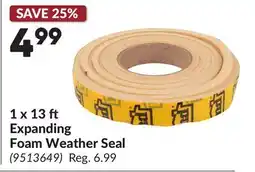 Princess Auto 1 x 13 ft Expanding Foam Weather Seal offer