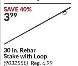 Princess Auto 30 in. Rebar Stake with Loop offer
