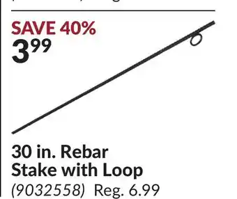 Princess Auto 30 in. Rebar Stake with Loop offer
