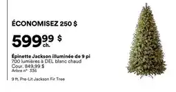 Michaels Épinette Jackson illuminée de 9 pi offer