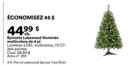 Michaels Épinette Lakewood illuminée multicolore de 4 pi offer