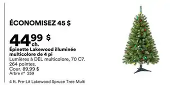 Michaels Épinette Lakewood illuminée multicolore de 4 pi offer