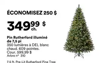 Michaels Pin Rutherford illuminé de 7,5 pi offer