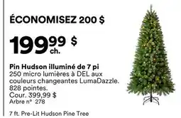 Michaels Pin Hudson illuminé de 7 pi offer