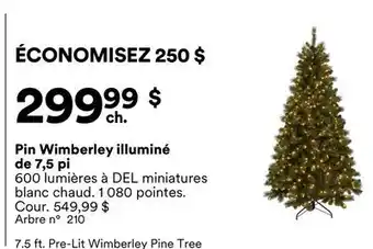 Michaels Pin Wimberley illuminé de 7,5 pi offer