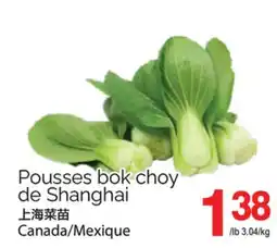 T&T Supermarket POUSSES BOK CHOY DE SHANGHAI offer