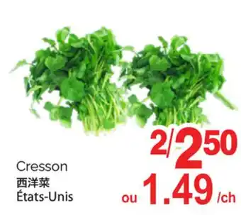 T&T Supermarket CRESSON offer