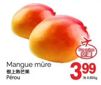 T&T Supermarket MANGUE MÛRE offer
