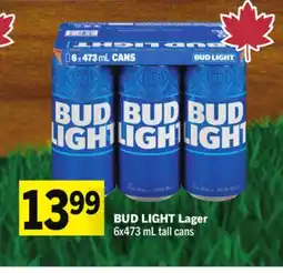 Foodland BUD LIGHT Lager offer