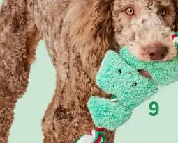 Petvalu Bailey & Bella Celebrates Evergreen Tree Rope Dog Toy offer