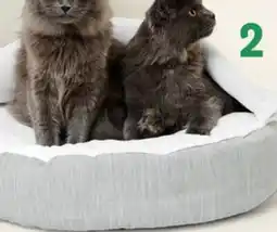 Petvalu Bailey & Bella Grey Bed offer