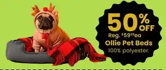 Fabricland Ollie Pet Beds offer