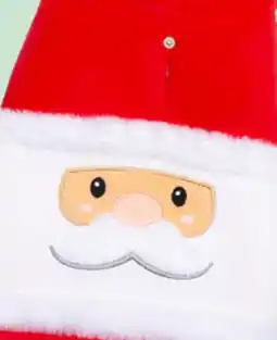 Petvalu Silver Paw Costume offer