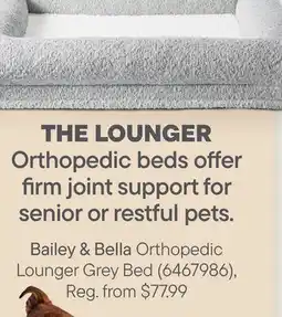 Petvalu Bailey & Bella Orthopedic Lounger Grey Bed offer