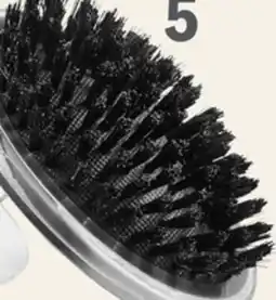 Petvalu Essentials Palm Bristle Brush with Handle offer