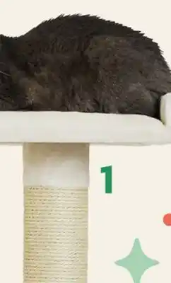 Petvalu JUMP! Daisy Cat Tree offer