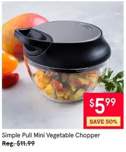 Kitchen Stuff Plus 4 PC. SET Simple Pull Mini Vegetable Chopper offer