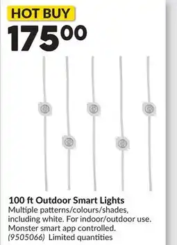 Princess Auto 100 ft Outdoor Smart Lights offer