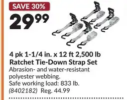 Princess Auto 4 pk 1-1/4 in. x 12 ft2,500 lb Ratchet Tie-Down Strap Set offer