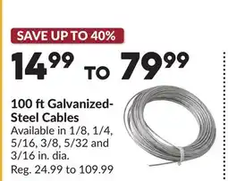 Princess Auto 100 ft Galvanized- Steel Cables offer