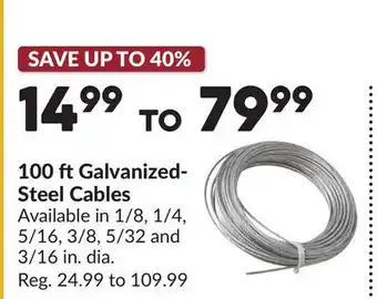 Princess Auto 100 ft Galvanized- Steel Cables offer