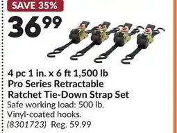 Princess Auto 4 pc 1 in. x 6 ft 1,500 lb Pro Series Retractable Ratchet Tie-Down Strap Set offer