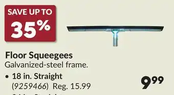 Princess Auto 18 in. Straight Floor Squeegees offer