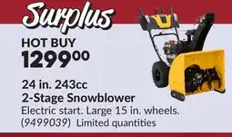 Princess Auto 24 in. 243cc 2-Stage Snowblower offer