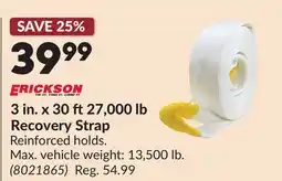 Princess Auto 3 in. x 30 ft27,000 lb Recovery Strap offer