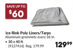 Princess Auto 30 x 40 ft Ice Rink Poly Liners/Tarps offer